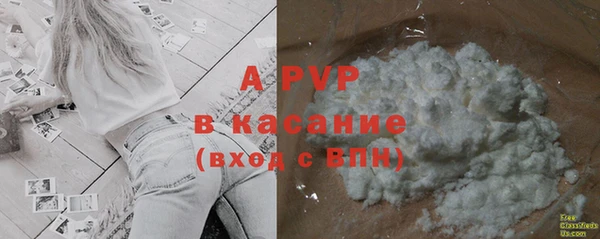 индика Рославль