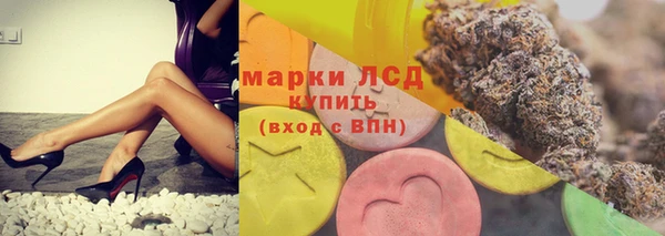 индика Рославль