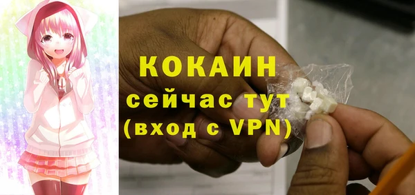 индика Рославль