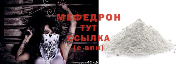индика Рославль