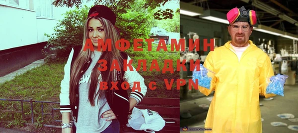 индика Рославль