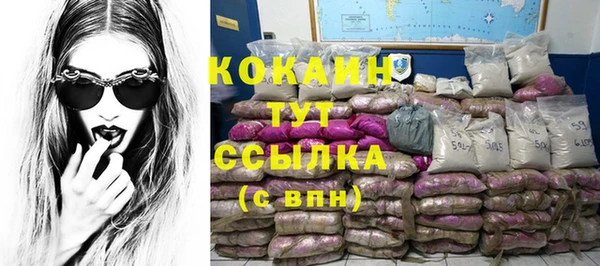 индика Рославль