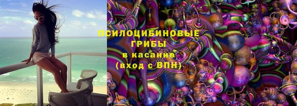 шишки Ростов