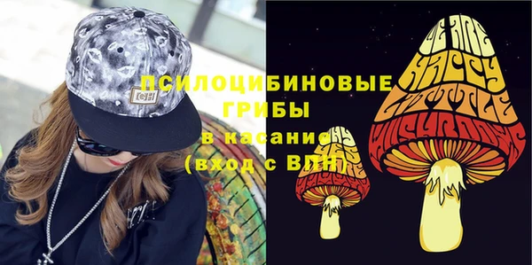 гашик Протвино