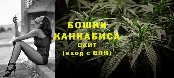 шишки Ростов