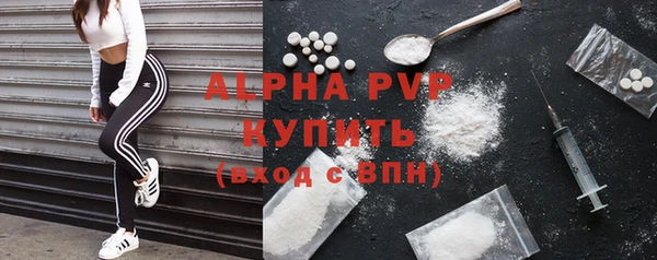 индика Рославль