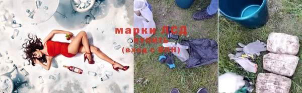 шишки Ростов