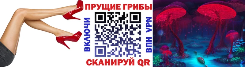 Псилоцибиновые грибы мицелий  Купить закладки  Новозыбков 