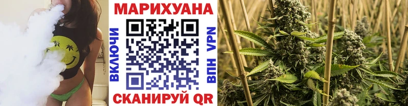Купить закладки  Новозыбков  Бошки марихуана семена 